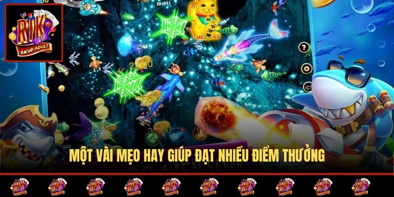 Một vài mẹo hay giúp đạt nhiều điểm thưởng