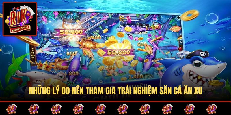 Những lý do nên tham gia trải nghiệm săn cá ăn xu