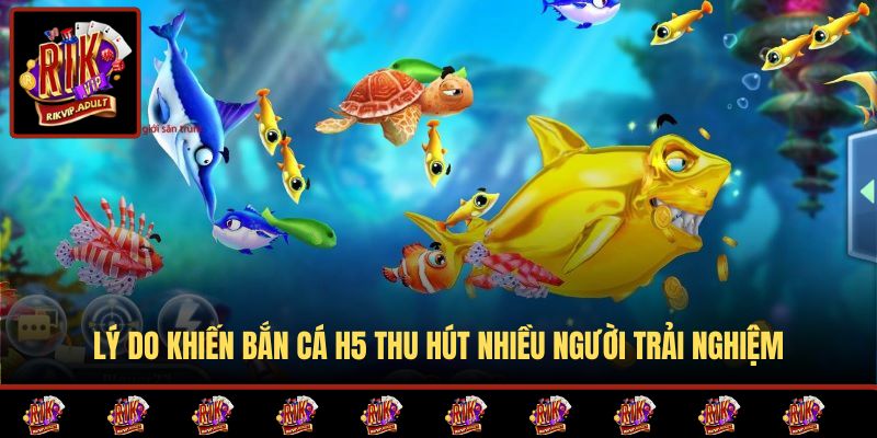 Lý do khiến Bắn Cá H5 thu hút nhiều người trải nghiệm