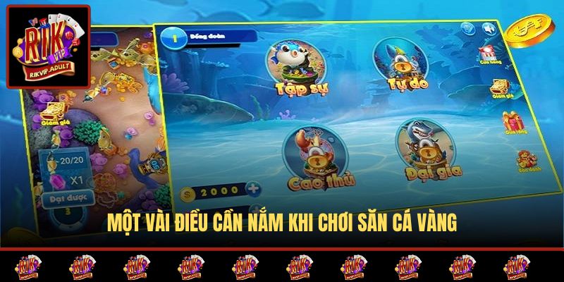 Một vài điều cần nắm khi chơi săn cá vàng